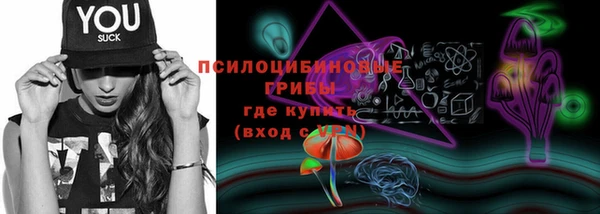 бошки Белокуриха