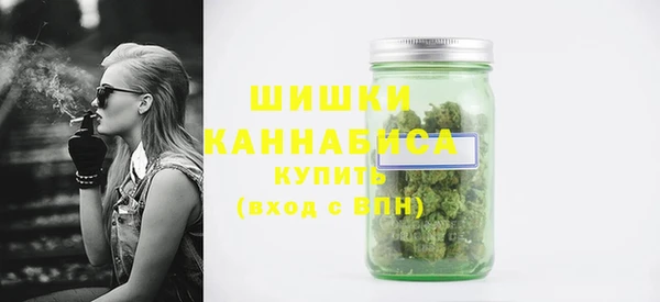 бошки Белокуриха