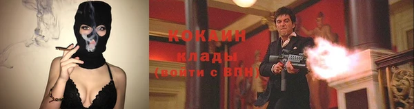 бошки Белокуриха