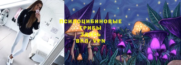 бошки Белокуриха