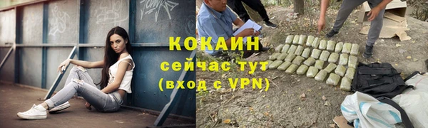 бошки Белокуриха