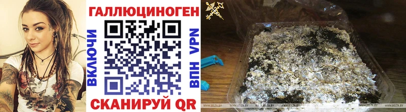 Галлюциногенные грибы Magic Shrooms  Волосово 